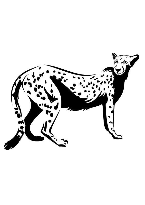 Plansa de colorat cu Leopard 30 24